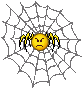 mad spider